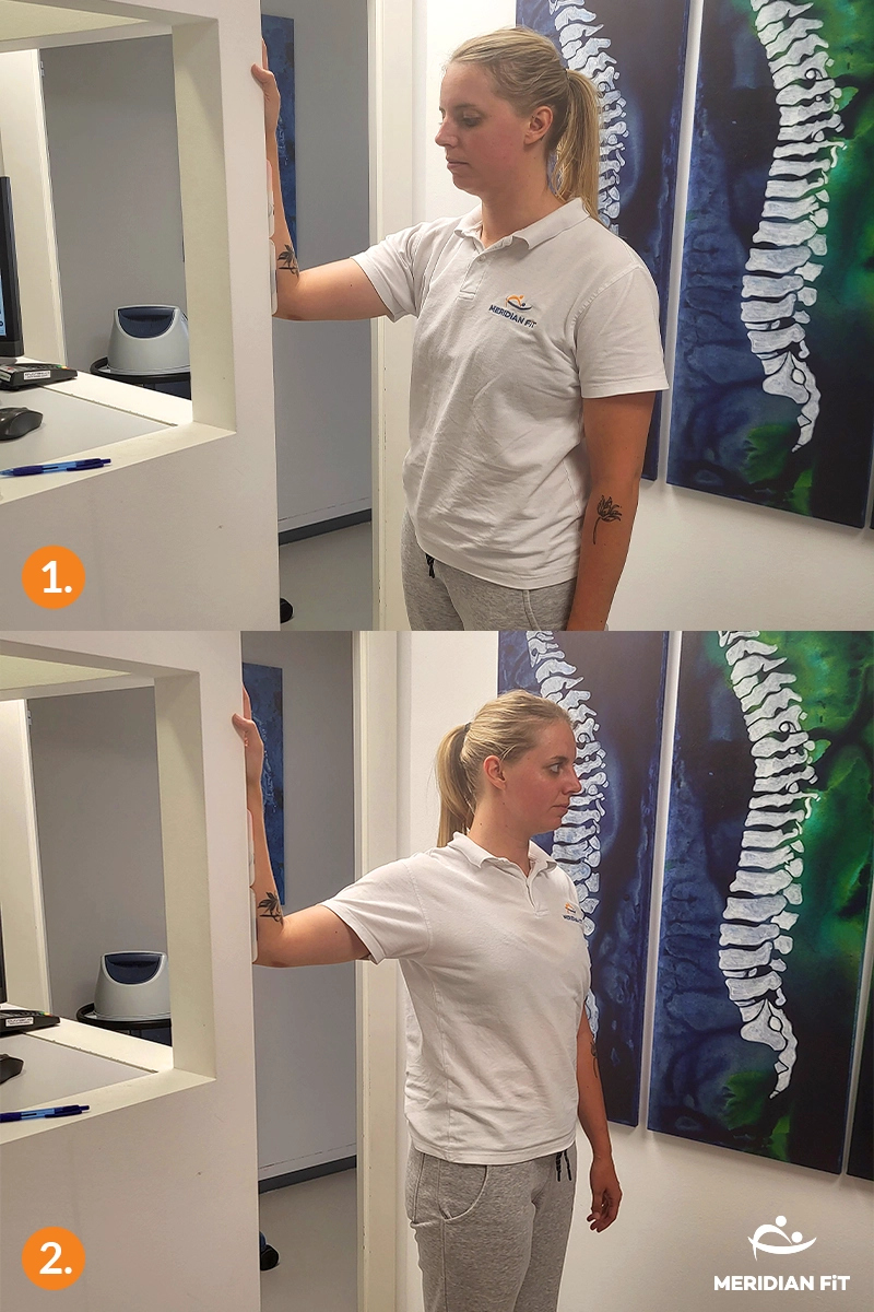 raster prone misice pir kifozi