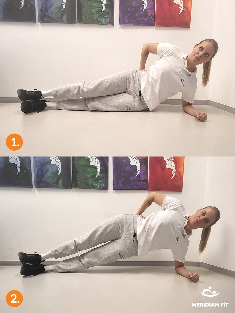 vaja za schmorlovo hernijo imenovana stranski most