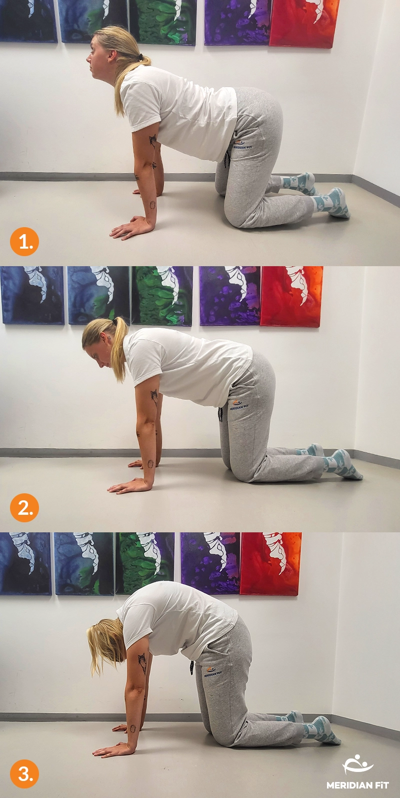 obracanje medenice spondiloza