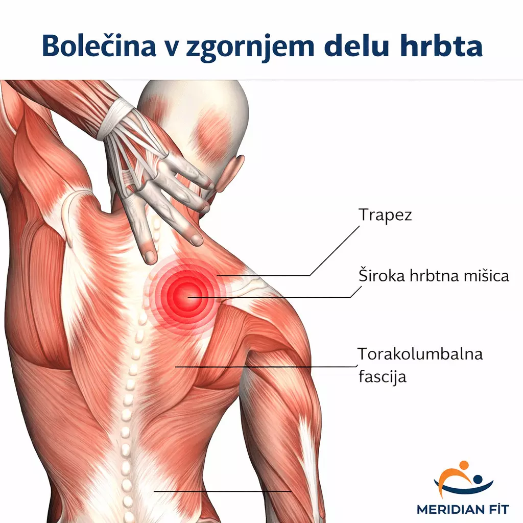 pekoca bolecina na vrhu hrbta